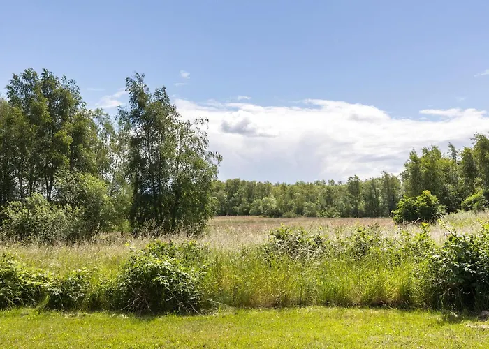 Tangvej Iv * Ørsted